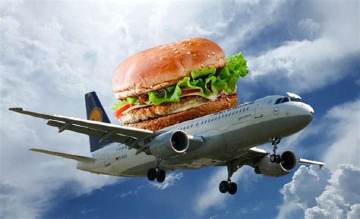 Burger King Guy on Plane: Unpacking the Viral JetBlue Incident