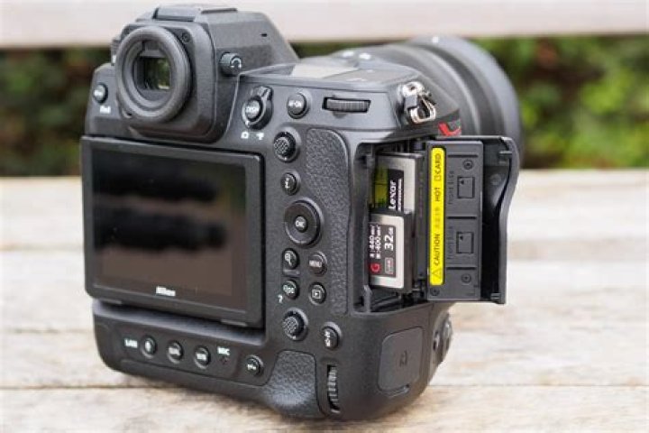 Capturing Compelling Backshots: Techniques for Photography and Art