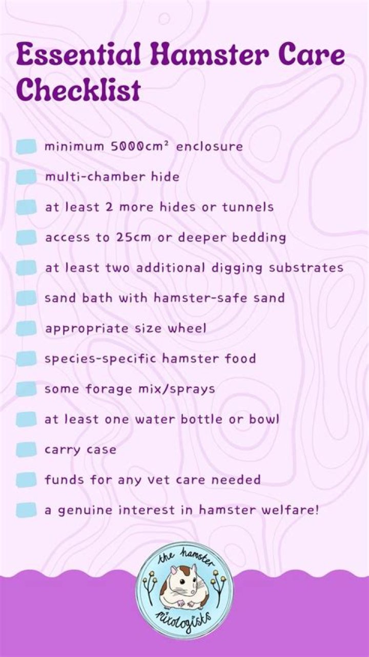 Caring for Your xxx Hamster: Advanced Tips for a Truly Happy Pet