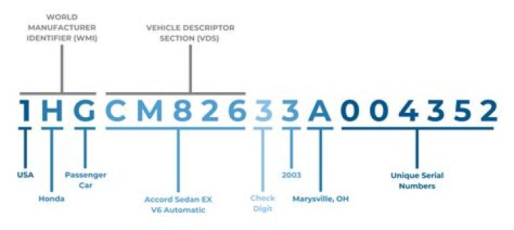 Carly Jane Model: Decoding the Name Behind Web Fame and Car Tech