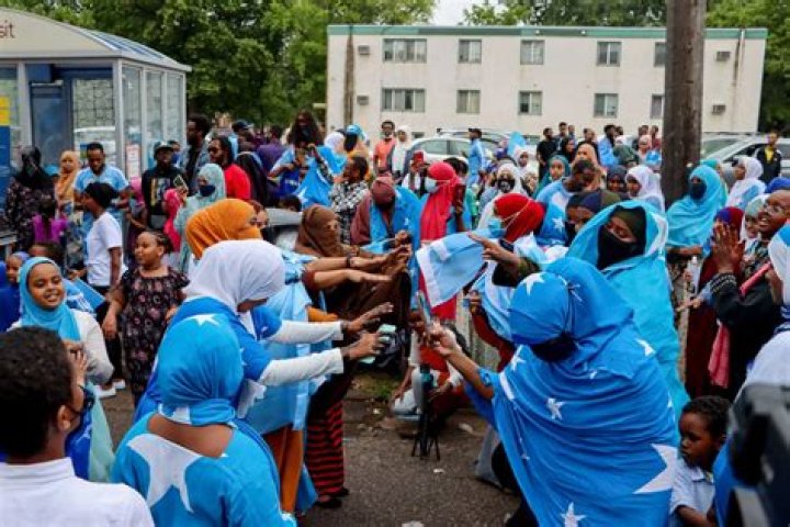 Connecting Communities: The Power of Somali WhatsApp