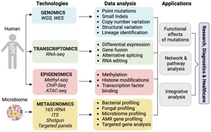 David Efron: Unpacking the Powerful Bioinformatics Tool for Gene Insights