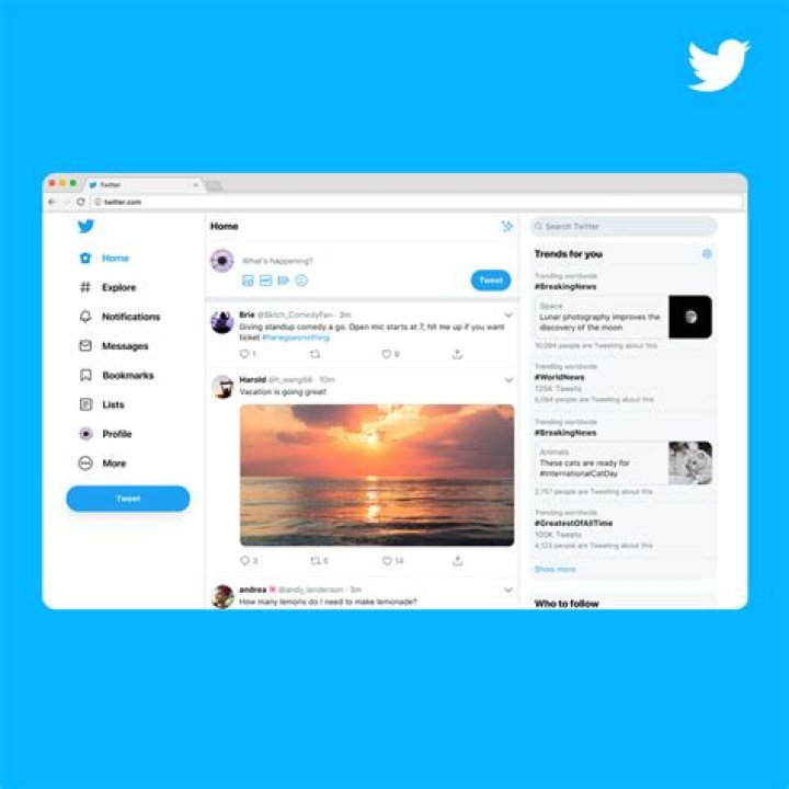 Discovering DC Draino on X: Your Guide to Online Conversations