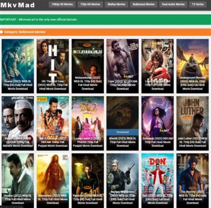 Discovering Dual Audio Movies: Your Guide to Enjoying Films in Multiple Languages