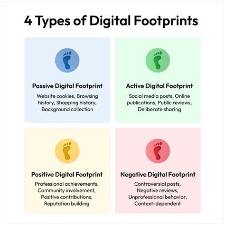 Discovering xmaal.net: A Look at Its Diverse Digital Footprint