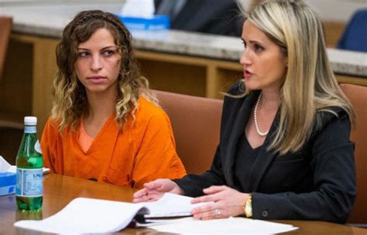 Examining the Case of Zamora Teacher: Insights into Accountability and Vigilance