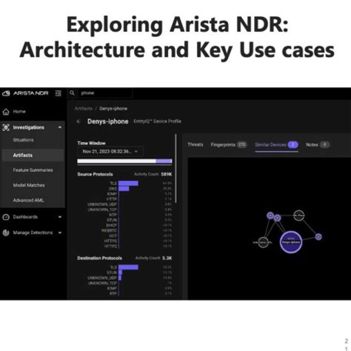 Exploring Arista Ilona: Uncovering the Story of a Networking Innovator