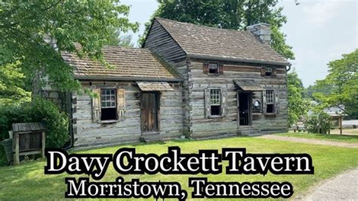 Exploring Jasmine Crockett Family History: Uncovering Roots and Influence