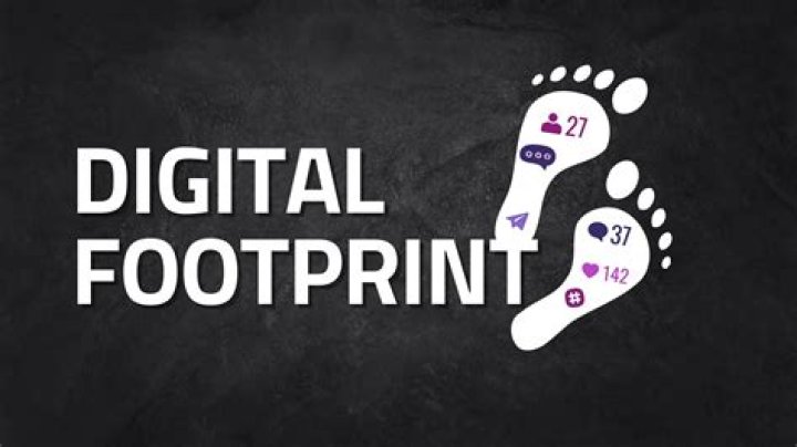 Teresa Ferrer XXX: Unpacking the Digital Footprint and Public Interest