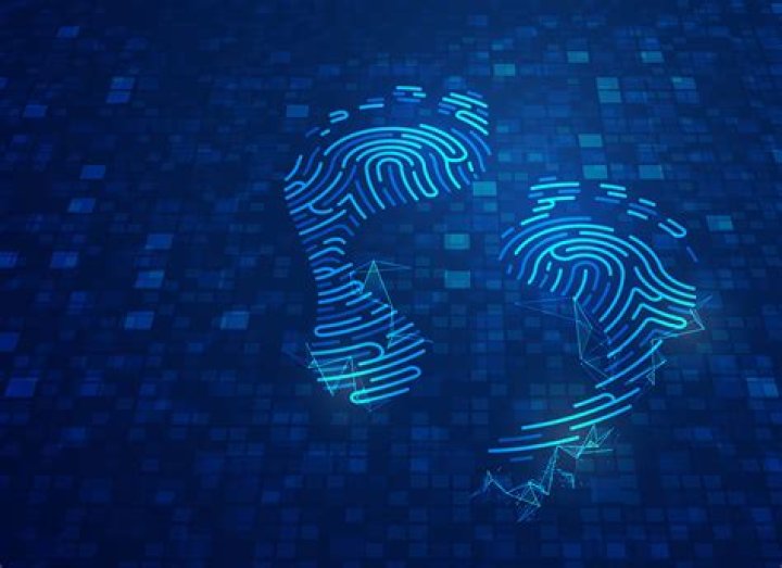 Understanding the Search for Camilla Araujo Nude: Privacy, Perception, and Digital Footprints in 2024