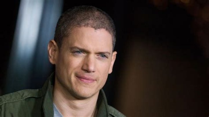 Unpacking Wentworth Miller's Personal Life: Beyond the Screen and Public Curiosity