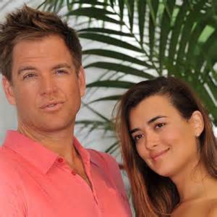 Unraveling the Mystery: Is There a Cote de Pablo Husband?