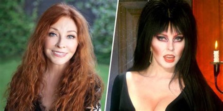 Unraveling the Mystery: Who is Elvira Wayans?